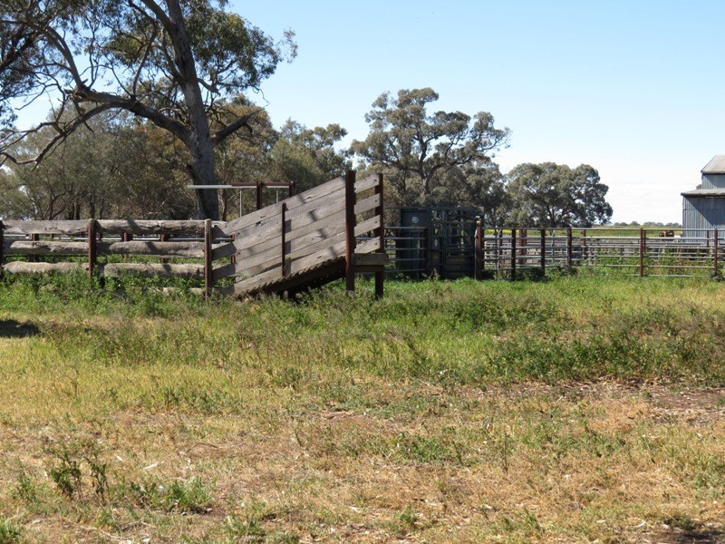 Riverina Highway, Blighty NSW 2713