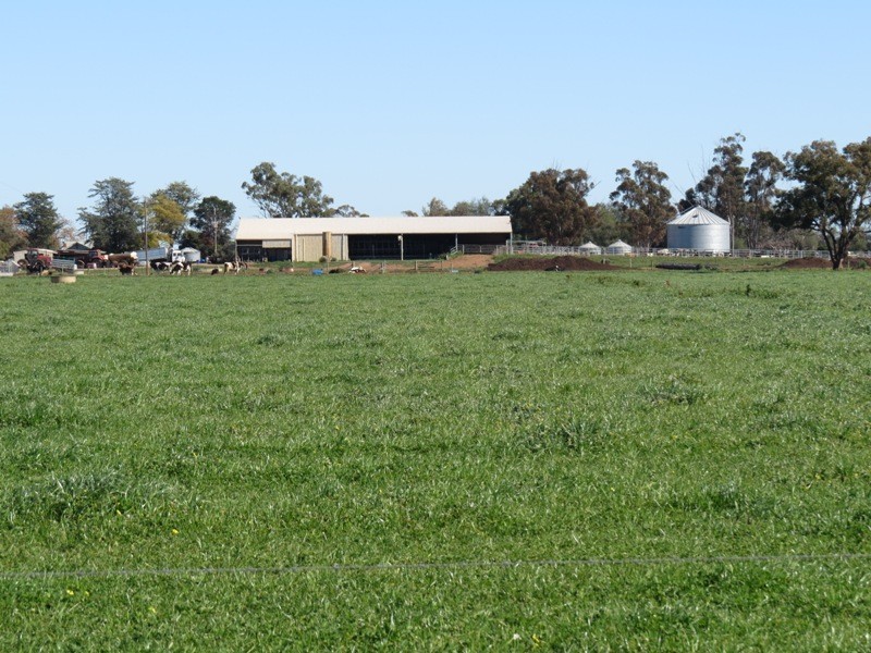 Riverina Highway, Blighty NSW 2713