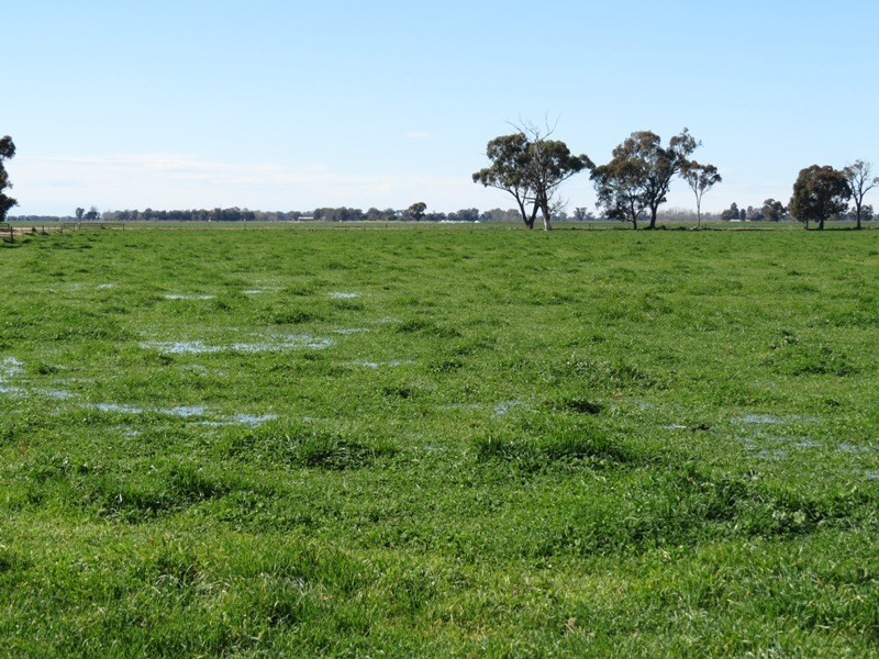 Riverina Highway, Blighty NSW 2713