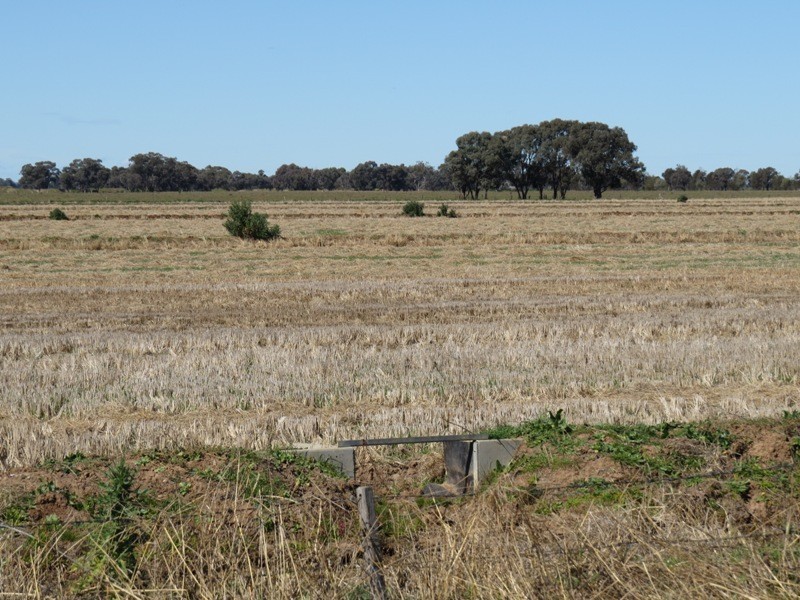 Riverina Highway, Blighty NSW 2713