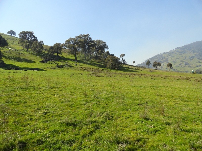 7830 River Road, Talmalmo NSW 2640