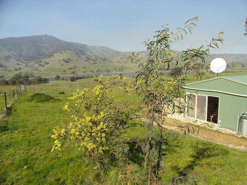7830 River Road, Talmalmo NSW 2640