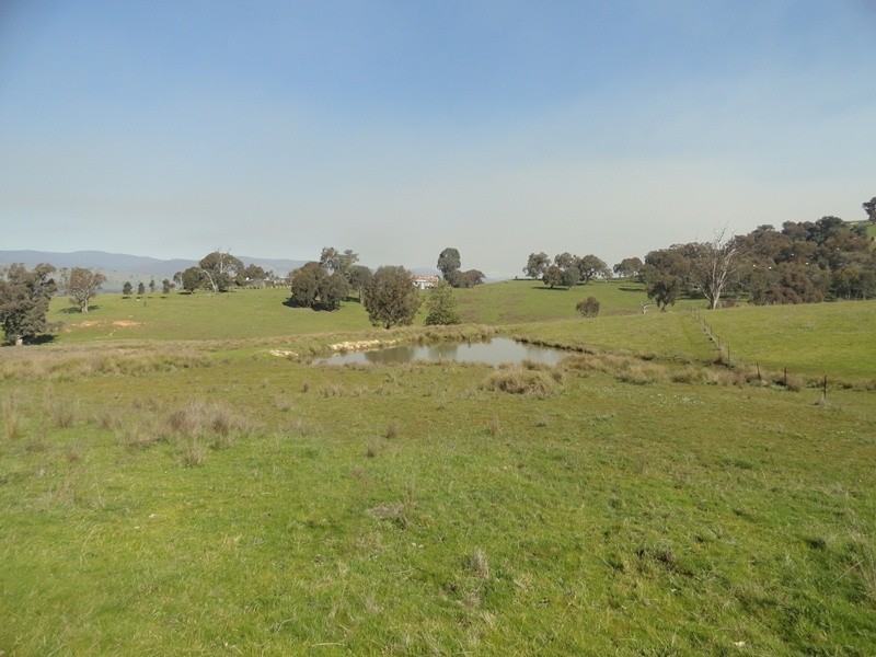 7830 River Road, Talmalmo NSW 2640