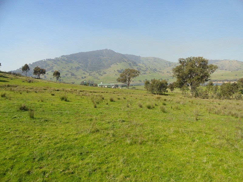 7830 River Road, Talmalmo NSW 2640