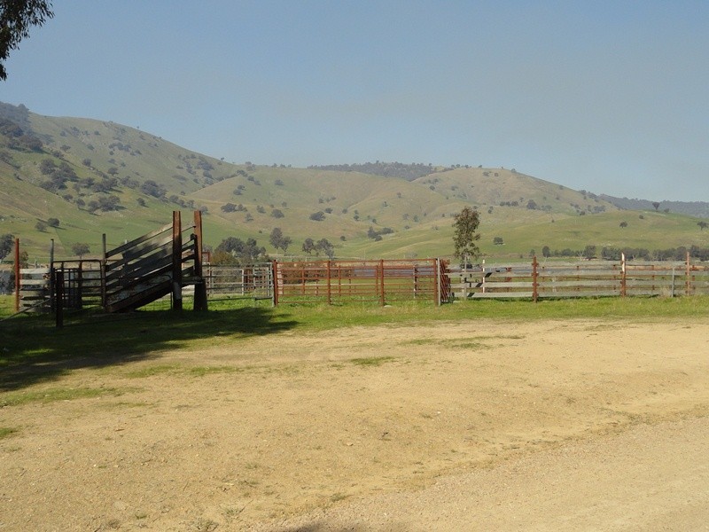 7830 River Road, Talmalmo NSW 2640