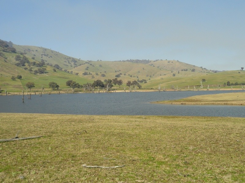 7830 River Road, Talmalmo NSW 2640