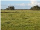 “Larnook” Coree Road, Finley NSW 2713