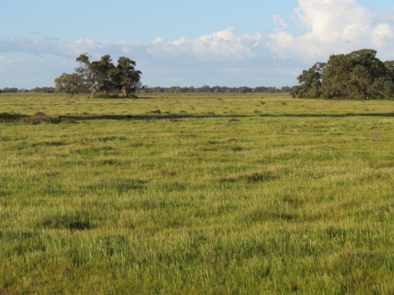 “Larnook” Coree Road, Finley NSW 2713