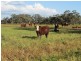 “Larnook” Coree Road, Finley NSW 2713
