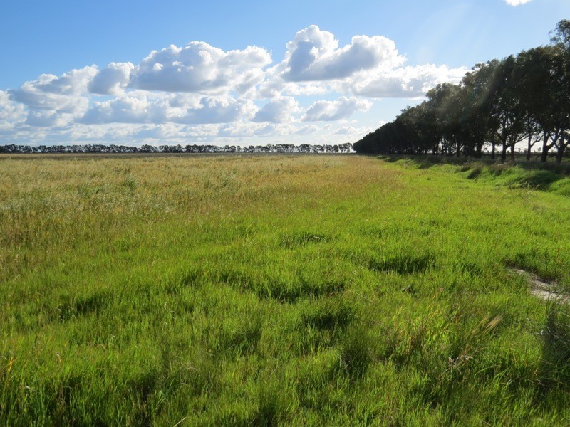 “Larnook” Coree Road, Finley NSW 2713