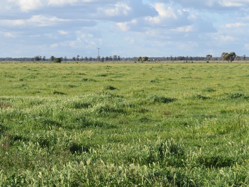 “Larnook” Coree Road, Finley NSW 2713