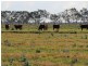 “Larnook” Coree Road, Finley NSW 2713