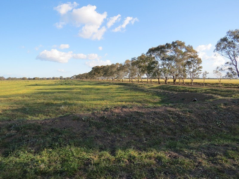 “Larnook” Coree Road, Finley NSW 2713