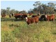“Larnook” Coree Road, Finley NSW 2713