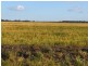 “Larnook” Coree Road, Finley NSW 2713