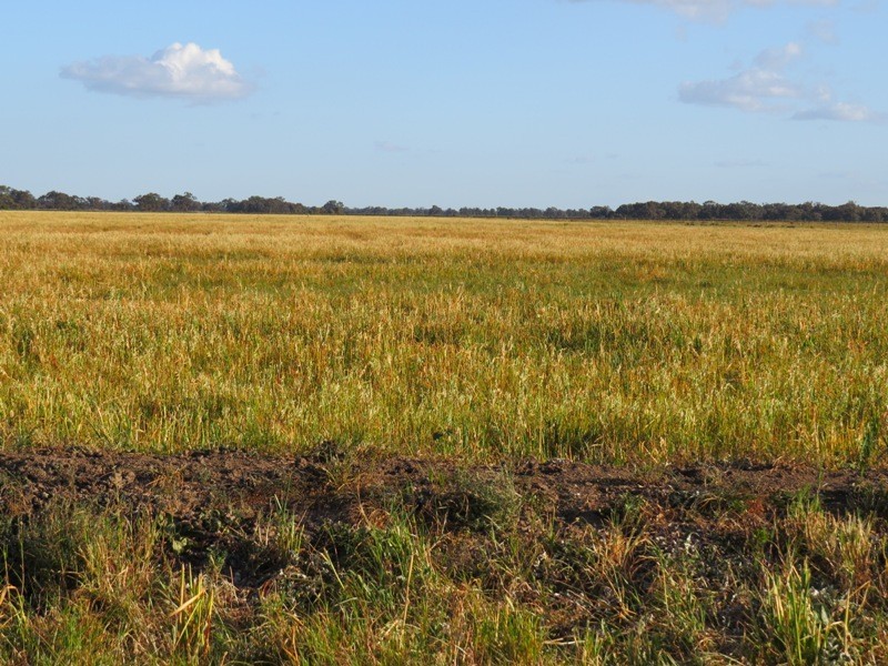“Larnook” Coree Road, Finley NSW 2713