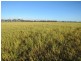 “Larnook” Coree Road, Finley NSW 2713