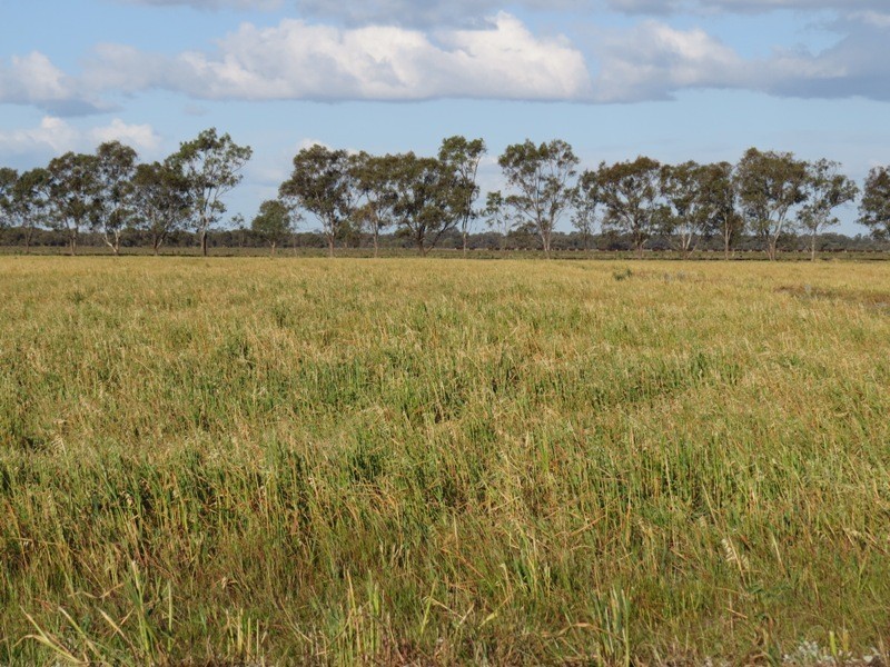 “Larnook” Coree Road, Finley NSW 2713