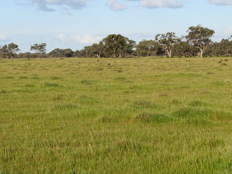 “Larnook” Coree Road, Finley NSW 2713