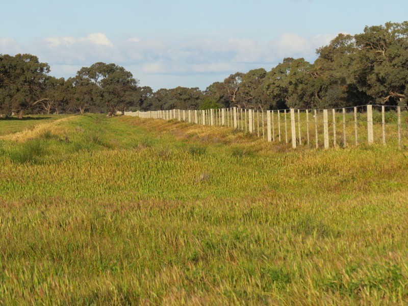 “Larnook” Coree Road, Finley NSW 2713