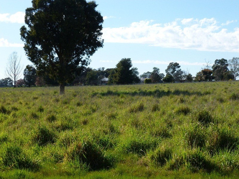 0 ‘Redlands’, Rutherglen VIC 3685