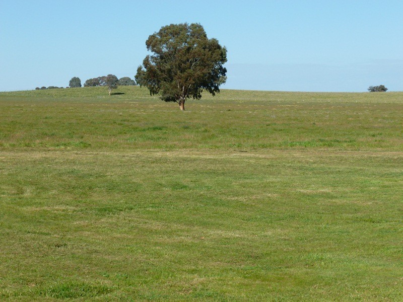 0 ‘Redlands’, Rutherglen VIC 3685