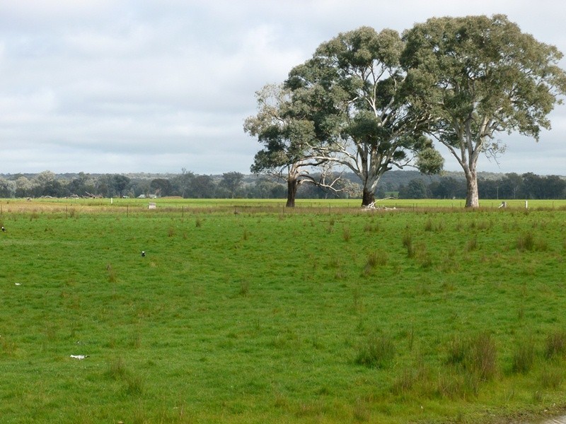 330 Indigo Creek Road, Indigo Valley VIC 3688