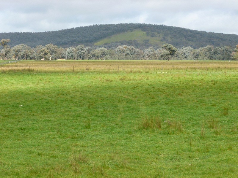 330 Indigo Creek Road, Indigo Valley VIC 3688