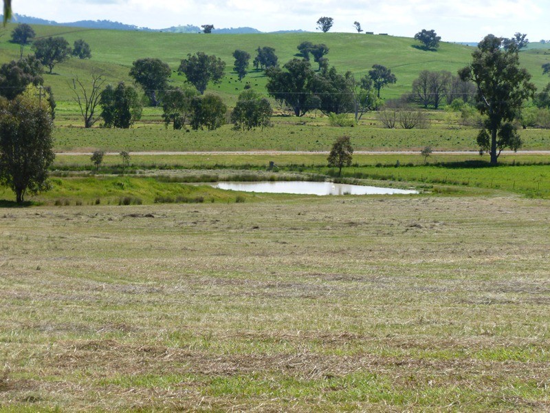 Belle Views 590 Bowna Road, Bowna NSW 2644