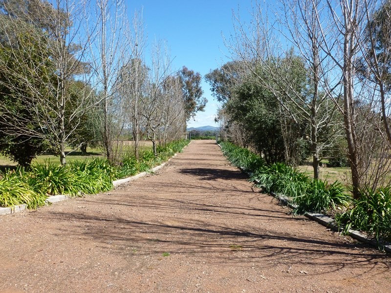 Belle Views 590 Bowna Road, Bowna NSW 2644