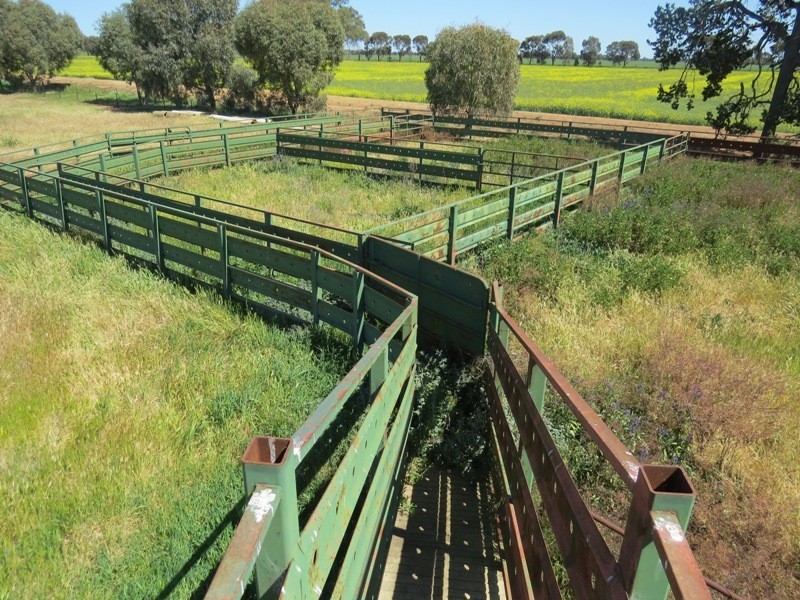 163 Holzigals Road, Finley NSW 2713