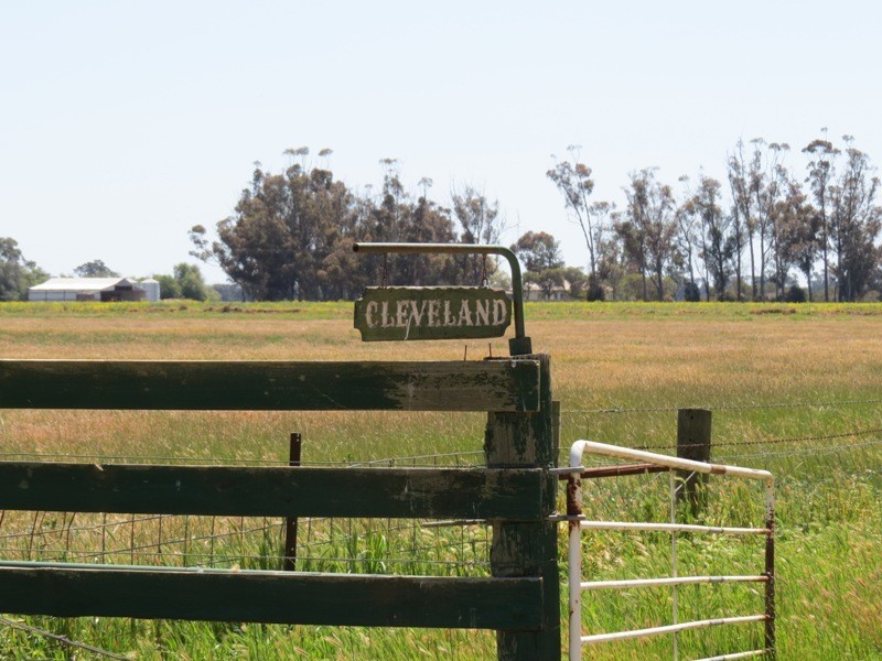163 Holzigals Road, Finley NSW 2713