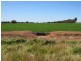 163 Holzigals Road, Finley NSW 2713