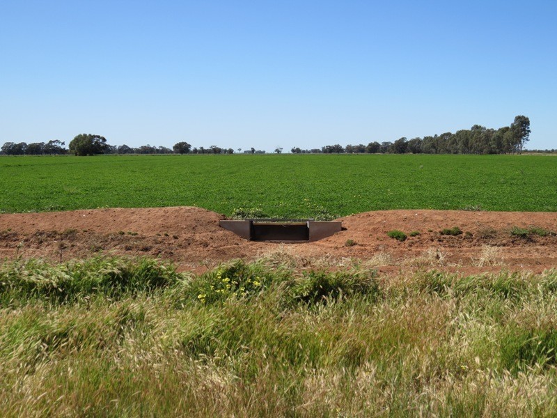 163 Holzigals Road, Finley NSW 2713