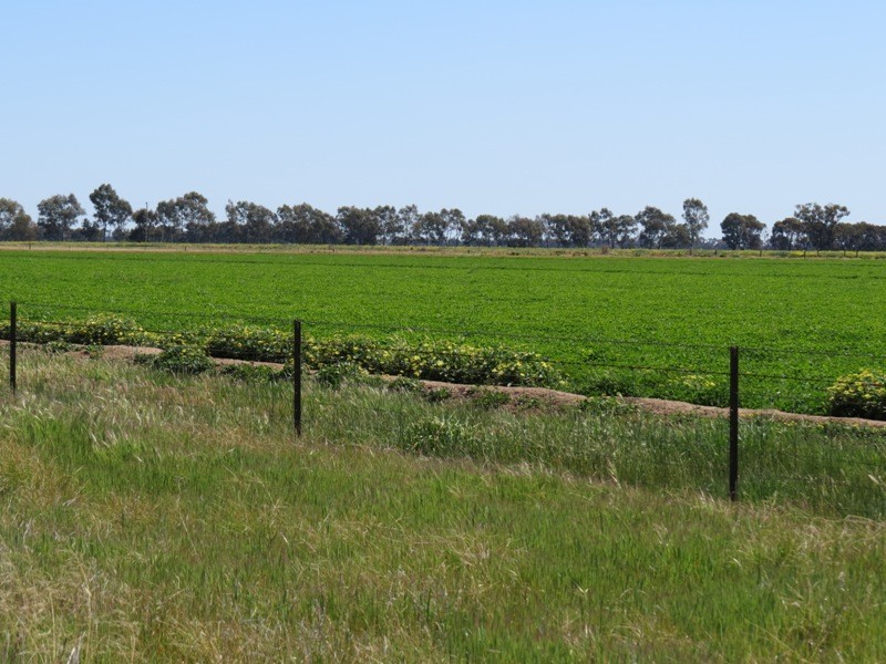 163 Holzigals Road, Finley NSW 2713