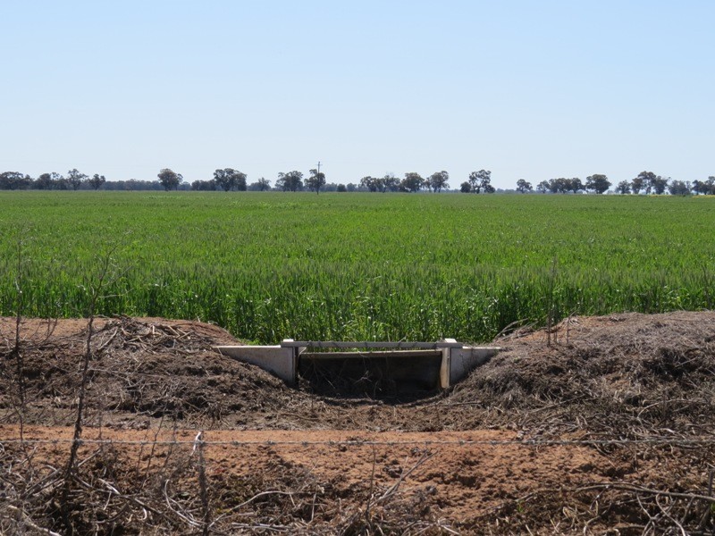 163 Holzigals Road, Finley NSW 2713