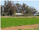 163 Holzigals Road, Finley NSW 2713