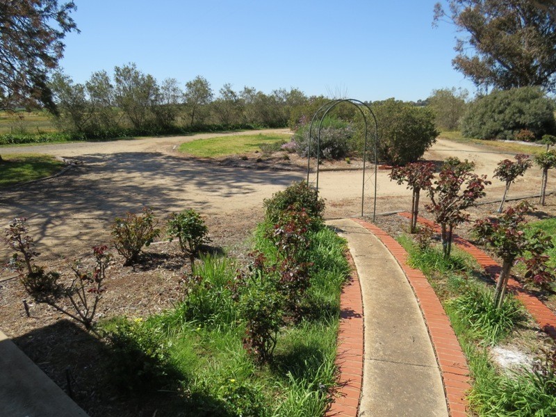 163 Holzigals Road, Finley NSW 2713
