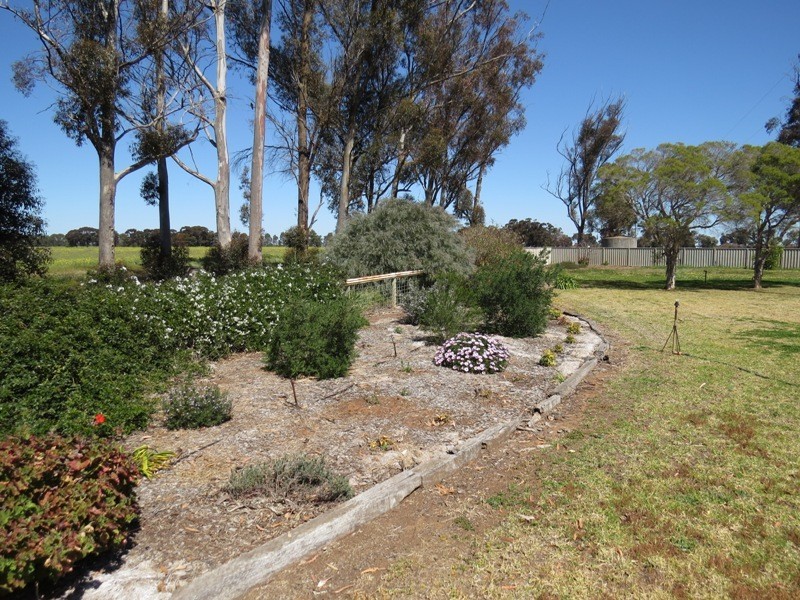 163 Holzigals Road, Finley NSW 2713