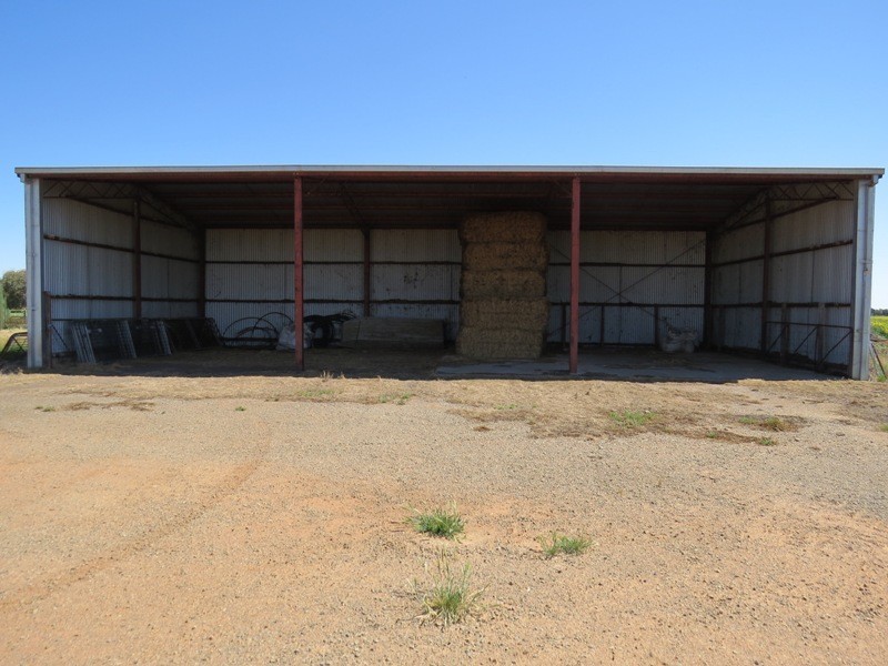 163 Holzigals Road, Finley NSW 2713