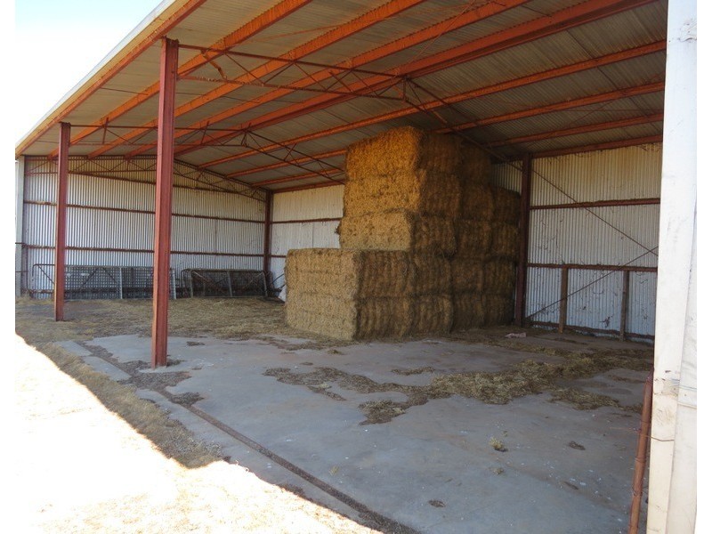163 Holzigals Road, Finley NSW 2713