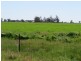 163 Holzigals Road, Finley NSW 2713