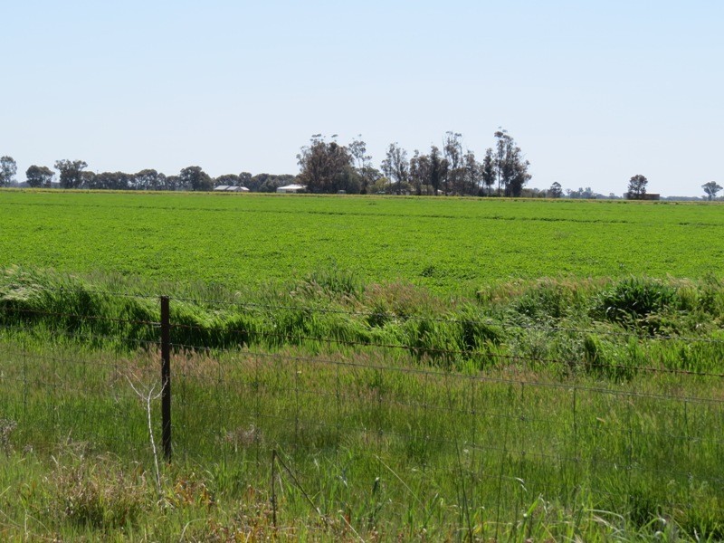 163 Holzigals Road, Finley NSW 2713
