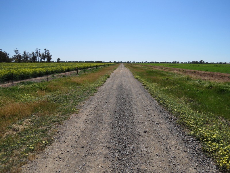 163 Holzigals Road, Finley NSW 2713