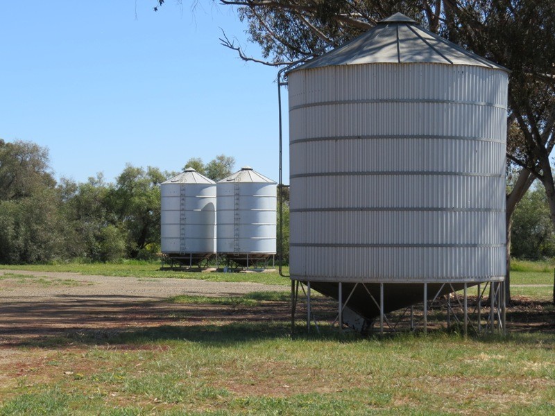 163 Holzigals Road, Finley NSW 2713