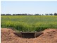 163 Holzigals Road, Finley NSW 2713