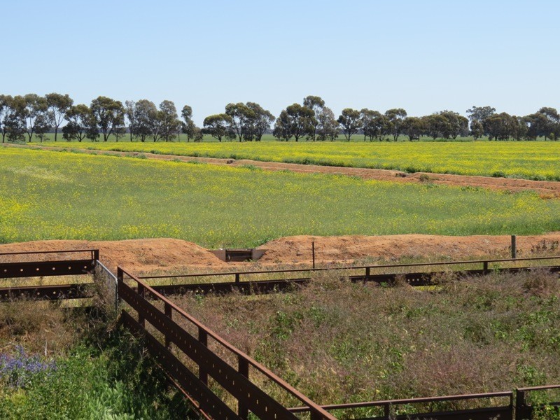 163 Holzigals Road, Finley NSW 2713