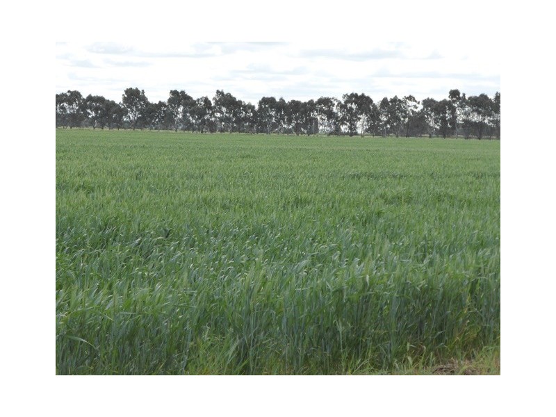 | Kweong |, Finley NSW 2713