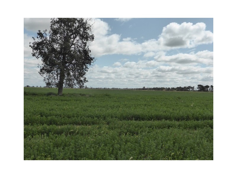 | Kweong |, Finley NSW 2713