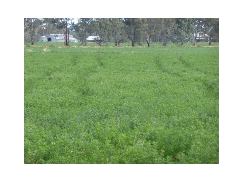 | Kweong |, Finley NSW 2713